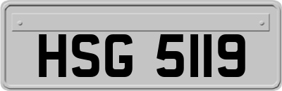 HSG5119