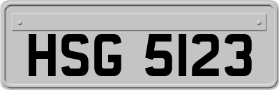 HSG5123