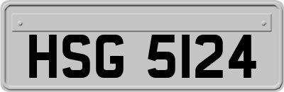 HSG5124