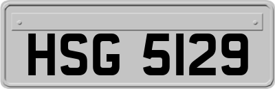 HSG5129