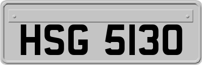 HSG5130