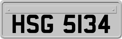 HSG5134