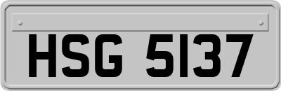 HSG5137