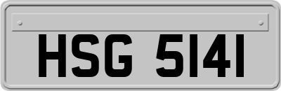 HSG5141