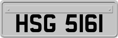 HSG5161