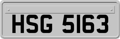 HSG5163