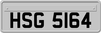 HSG5164