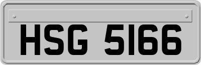 HSG5166