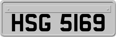 HSG5169