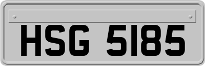 HSG5185