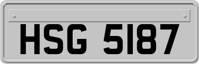 HSG5187
