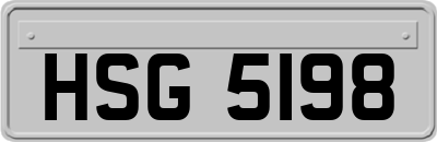 HSG5198