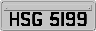 HSG5199
