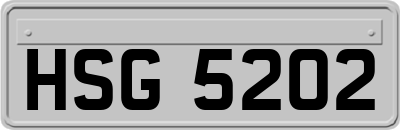 HSG5202