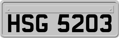 HSG5203