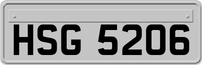 HSG5206