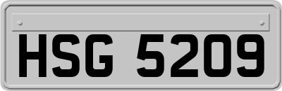 HSG5209