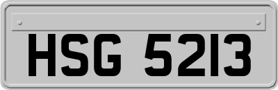 HSG5213