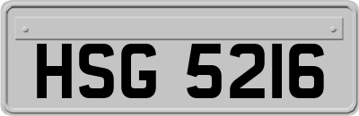 HSG5216