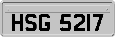 HSG5217