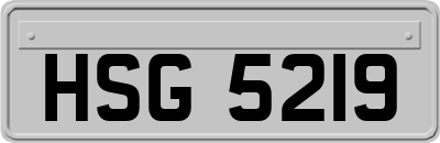 HSG5219