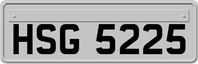 HSG5225