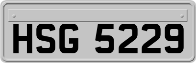 HSG5229