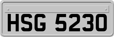HSG5230
