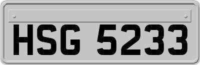 HSG5233