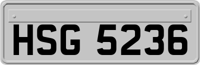 HSG5236