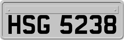 HSG5238