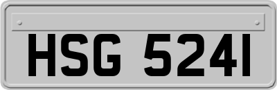 HSG5241