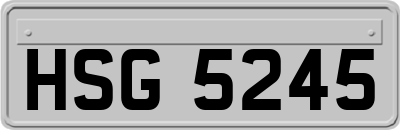 HSG5245