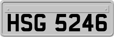 HSG5246