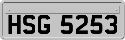 HSG5253