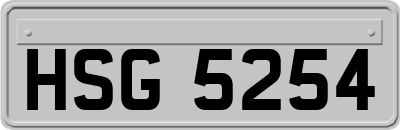 HSG5254