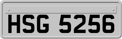 HSG5256