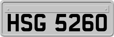 HSG5260