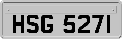HSG5271