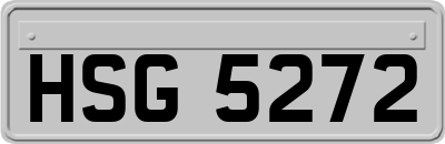 HSG5272