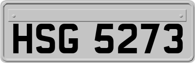 HSG5273