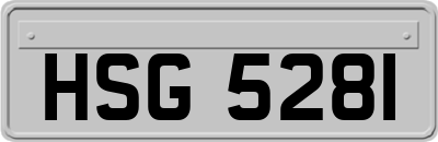 HSG5281