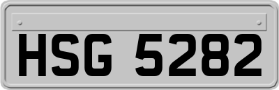 HSG5282