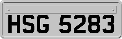 HSG5283
