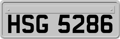 HSG5286