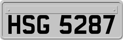 HSG5287