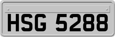 HSG5288