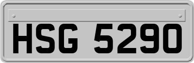 HSG5290
