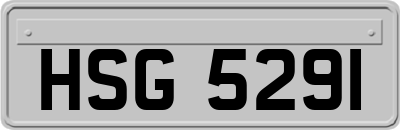 HSG5291