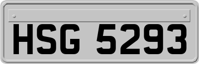 HSG5293